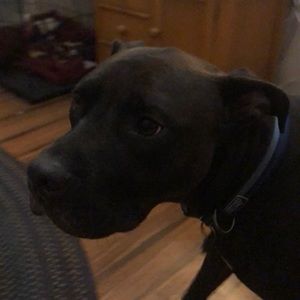 Meet your Posher, Brooklyn